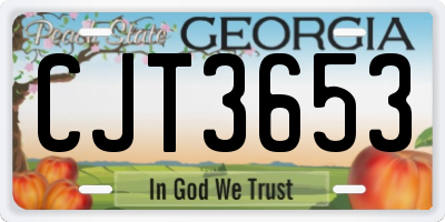 GA license plate CJT3653