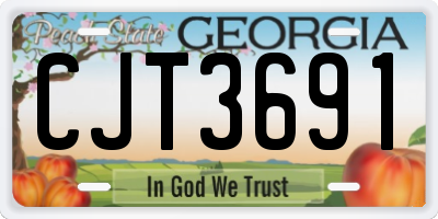 GA license plate CJT3691