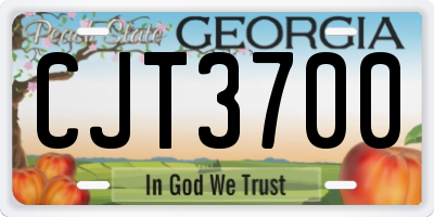 GA license plate CJT3700