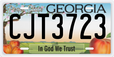 GA license plate CJT3723