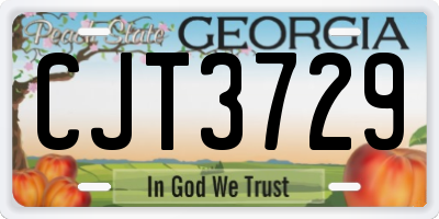 GA license plate CJT3729