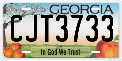 GA license plate CJT3733