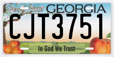 GA license plate CJT3751