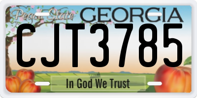 GA license plate CJT3785