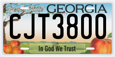 GA license plate CJT3800
