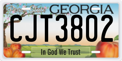 GA license plate CJT3802