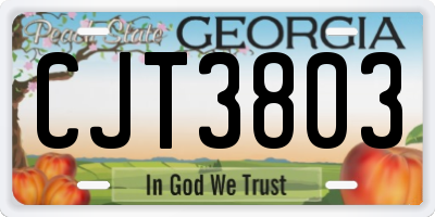 GA license plate CJT3803
