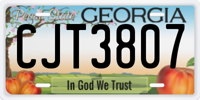 GA license plate CJT3807
