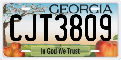 GA license plate CJT3809