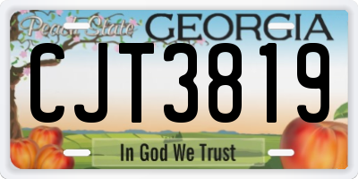 GA license plate CJT3819