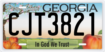 GA license plate CJT3821