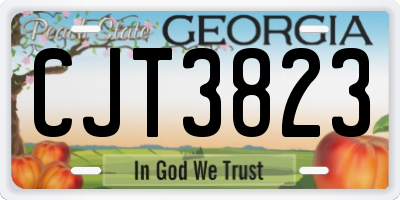 GA license plate CJT3823