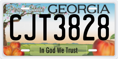 GA license plate CJT3828