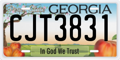GA license plate CJT3831
