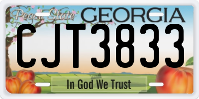 GA license plate CJT3833