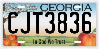 GA license plate CJT3836