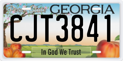 GA license plate CJT3841