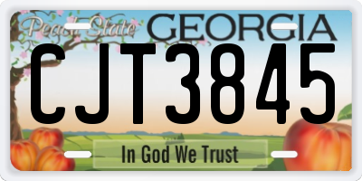 GA license plate CJT3845