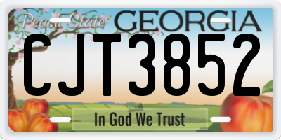 GA license plate CJT3852