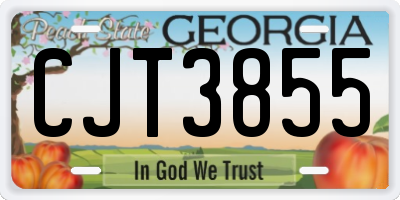 GA license plate CJT3855