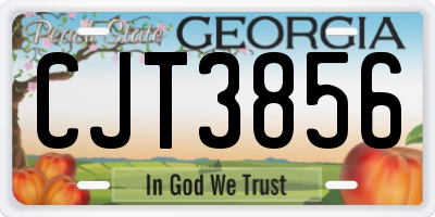 GA license plate CJT3856