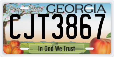 GA license plate CJT3867