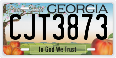 GA license plate CJT3873