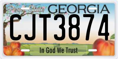 GA license plate CJT3874