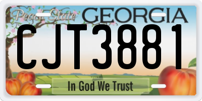 GA license plate CJT3881