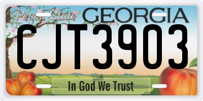 GA license plate CJT3903