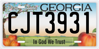 GA license plate CJT3931