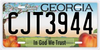 GA license plate CJT3944
