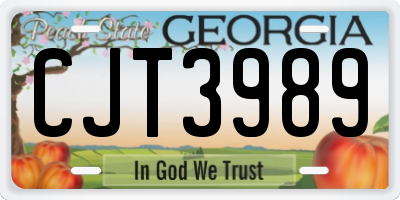 GA license plate CJT3989
