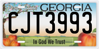 GA license plate CJT3993