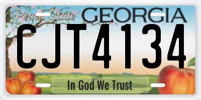 GA license plate CJT4134