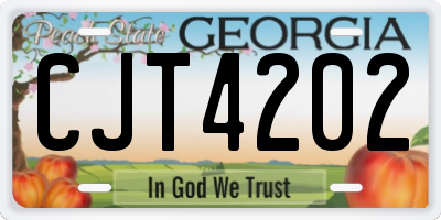 GA license plate CJT4202