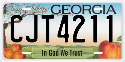 GA license plate CJT4211