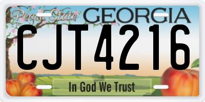 GA license plate CJT4216