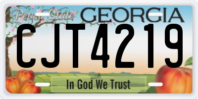 GA license plate CJT4219