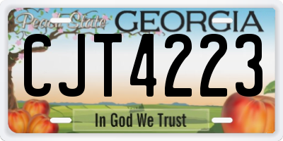GA license plate CJT4223