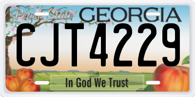 GA license plate CJT4229