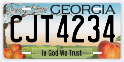 GA license plate CJT4234