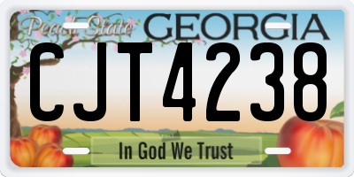 GA license plate CJT4238