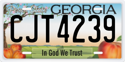 GA license plate CJT4239