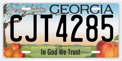 GA license plate CJT4285