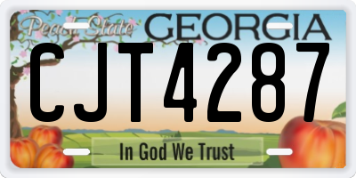 GA license plate CJT4287