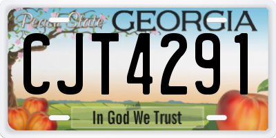 GA license plate CJT4291