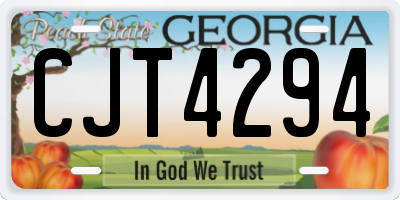 GA license plate CJT4294