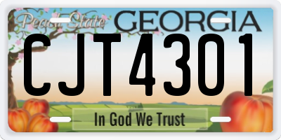 GA license plate CJT4301