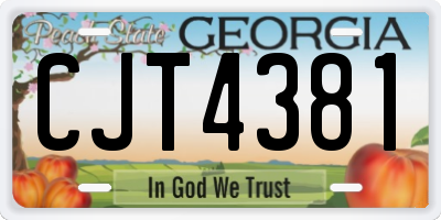 GA license plate CJT4381